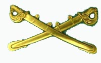 Crossed Sabres large